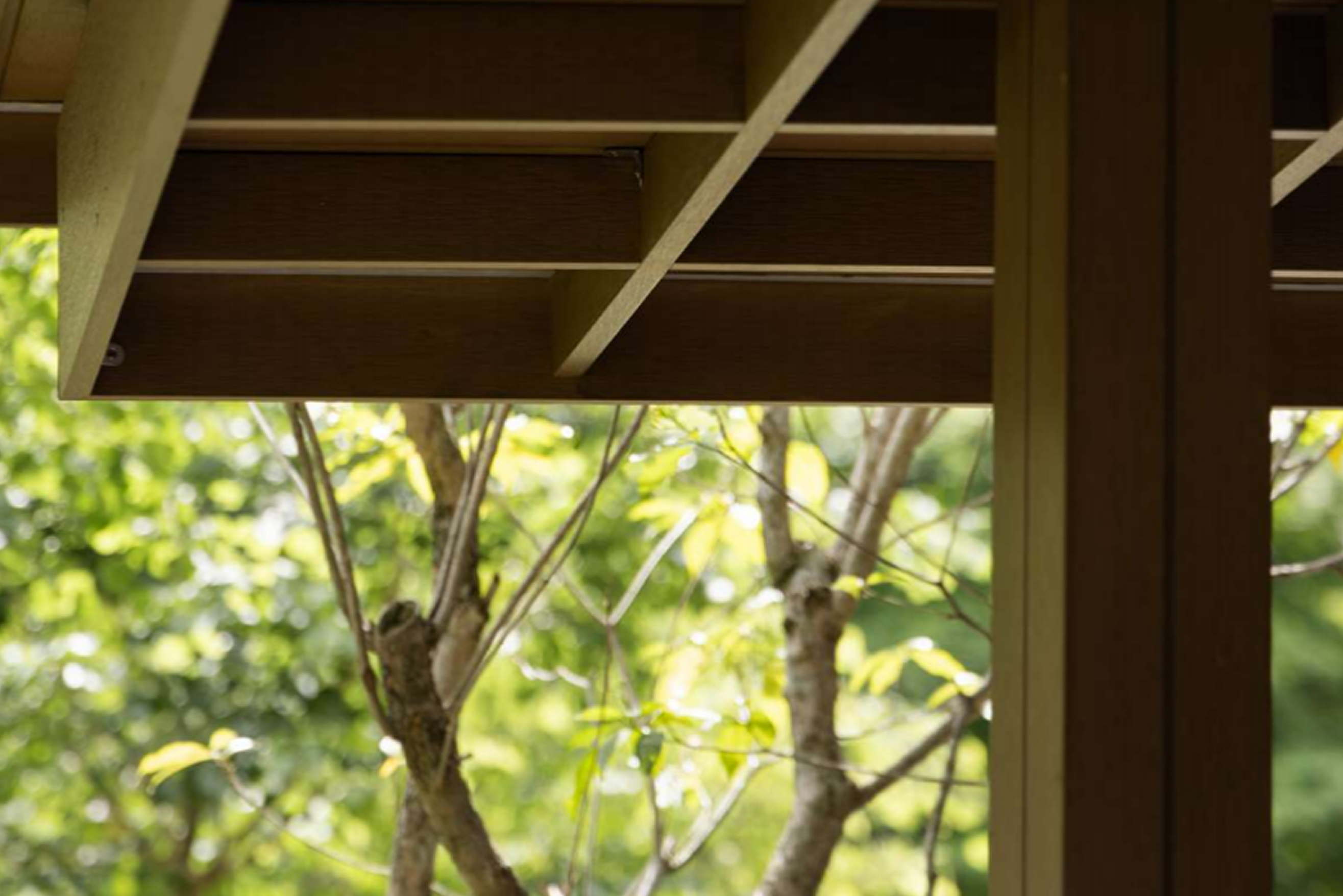 8bde2477abf2085613eb9160d9ca760e 1